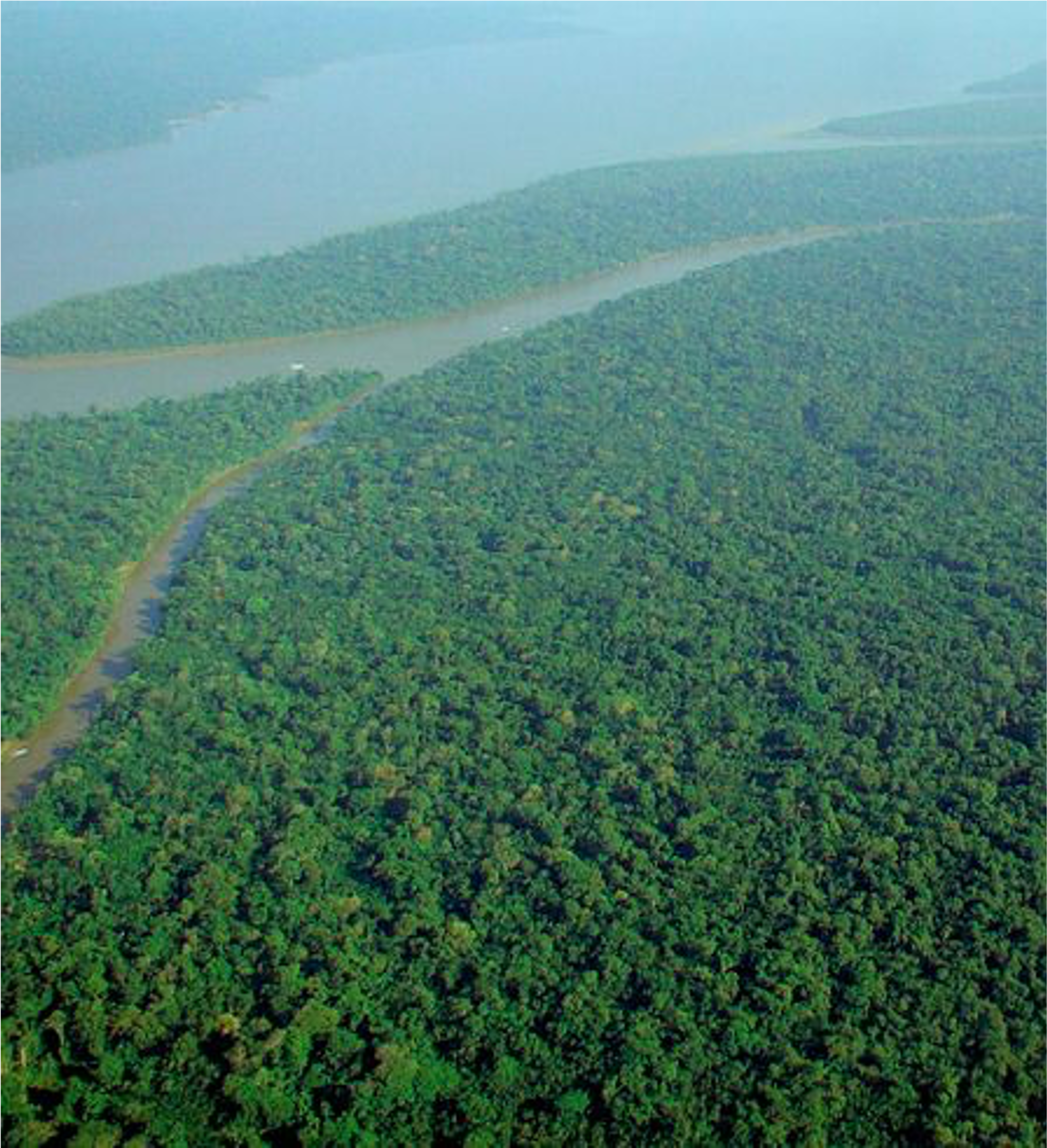 Blick über den Amazonas